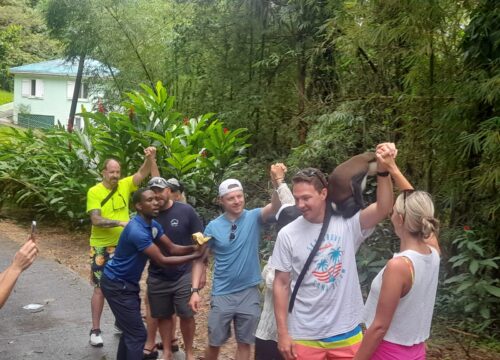 Best Car Rental in Grenada: Explore the Island Your Way with See Grenada Car Rentals