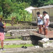 Affordable Car Rental in Grenada